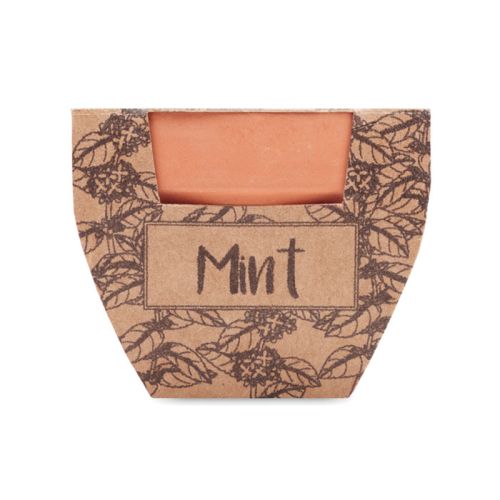 Terracotta pot mint - Image 2